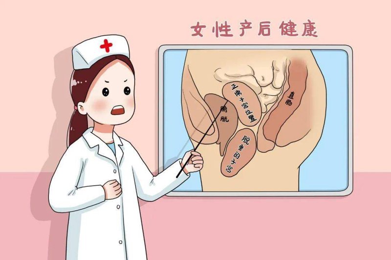 上海衡山妇女儿童医院：守卫母婴健康的守护者