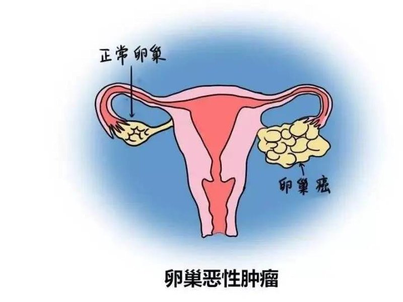 衡山虹妇幼:医疗品质与服务关怀的双重保障